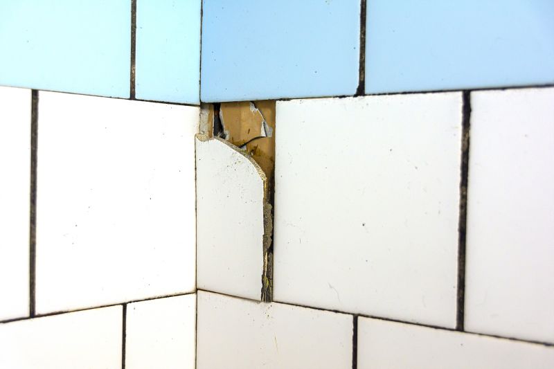 Wall Tile Repair